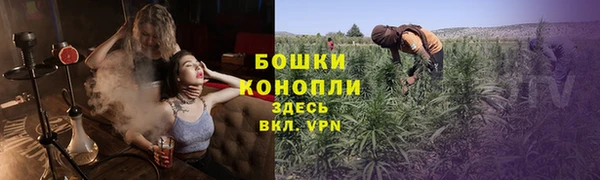 бутират Белокуриха