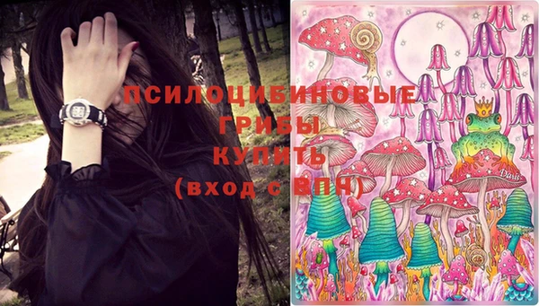 бутират Белокуриха