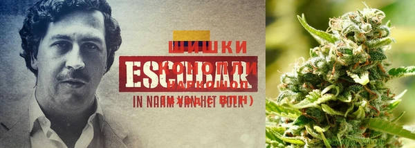 бутират Белокуриха