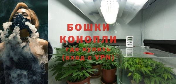 бутират Белокуриха