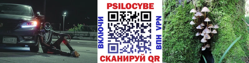 Псилоцибиновые грибы мицелий  нарко площадка Telegram  Мглин 